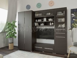 Тумба ТВ с дверью и ящиками ТБ-005 Эколь